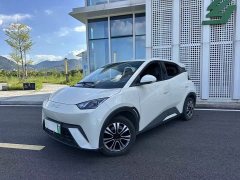 BYD Seagull Glory Edition 305km Vitality Version - ფოტო 1