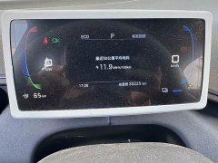 BYD Seagull Glory Edition 305km Vitality Version - ფოტო 15