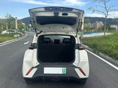 BYD Seagull Glory Edition 305km Vitality Version - ფოტო 17