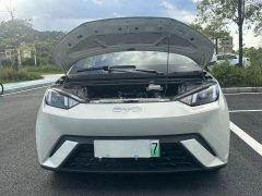 BYD Seagull Glory Edition 305km Vitality Version - ფოტო 18