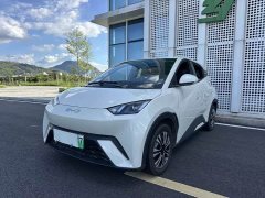 BYD Seagull Glory Edition 305km Vitality Version - ფოტო 19