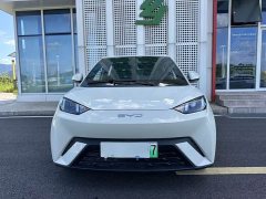 BYD Seagull Glory Edition 305km Vitality Version - ფოტო 2