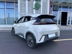 BYD Seagull Glory Edition 305km Vitality Version - ფოტო 3