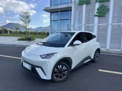 BYD Seagull Glory Edition 305km Vitality Version - ფოტო 4