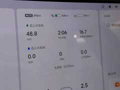 Li Auto L9 Max - ფოტო 14