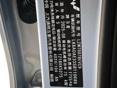 Wuling Bingo S 430km Flagship - ფოტო 12