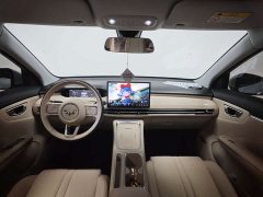 Wuling Bingo S 430km Flagship - ფოტო 17