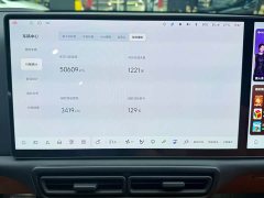 Li Auto L9 Max - ფოტო 11