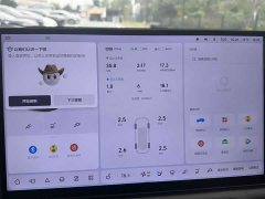 Li Auto L6 Max Smart Refresh Edition - ფოტო 5