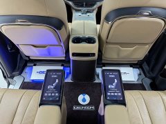 Denza D9 DM-i 980 Four-Wheel Drive Premium - ფოტო 3