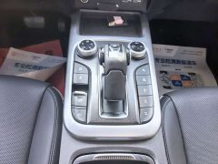Tank 300 Off-Road Edition 2.0T Conqueror - ფოტო 11