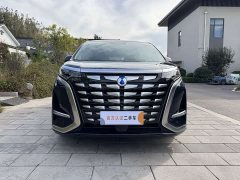 Denza D9 DM-i 970 AWD Flagship - ფოტო 2