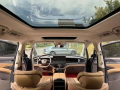 Denza D9 DM-i 970 AWD Flagship - ფოტო 5