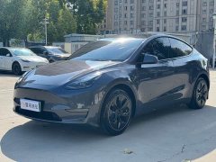 Tesla Model Y Long Range All-Wheel Drive - ფოტო 1