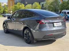 Tesla Model Y Long Range All-Wheel Drive - ფოტო 10