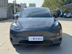 Tesla Model Y Long Range All-Wheel Drive - ფოტო 2