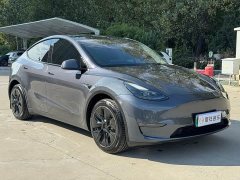 Tesla Model Y Long Range All-Wheel Drive - ფოტო 3