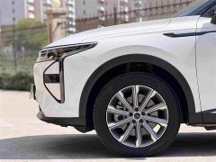 Changan Yaoguang C-DM Global Edition 120 Extended Range FWD - ფოტო 9