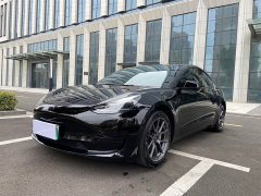Tesla Model 3 Rear-Wheel Drive - ფოტო 1