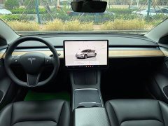 Tesla Model 3 Rear-Wheel Drive - ფოტო 11