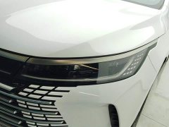 BYD Destroyer 05 Champion Edition DM-i 55KM Luxury - ფოტო 5