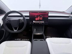 Tesla Model 3 Long Range All-Wheel Drive - ფოტო 13
