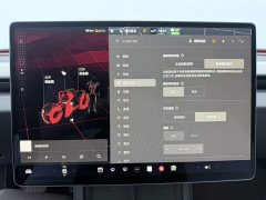 Tesla Model 3 Long Range All-Wheel Drive - ფოტო 15