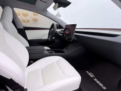 Tesla Model 3 Long Range All-Wheel Drive - ფოტო 18