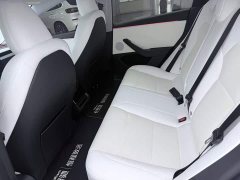 Tesla Model 3 Long Range All-Wheel Drive - ფოტო 19