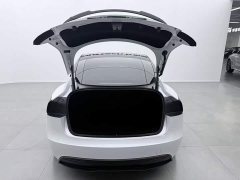 Tesla Model 3 Long Range All-Wheel Drive - ფოტო 9