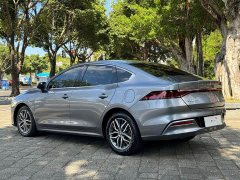 BYD Qin Plus DM-i 55KM Flagship - ფოტო 6