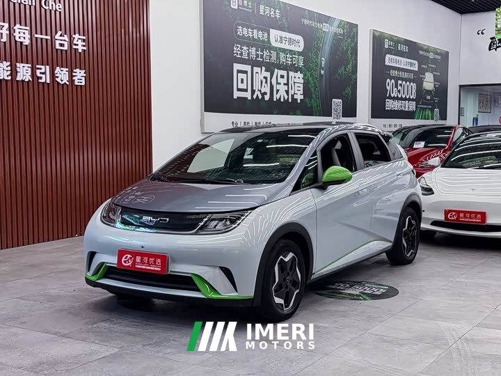BYD Dolphin 405km Fashion Edition - ავტომობილი ჩინეთიდან