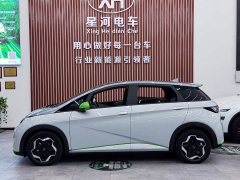 BYD Dolphin 405km Fashion Edition - ფოტო 4