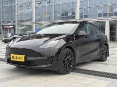 Tesla Model Y Rear-Wheel Drive - ფოტო 1
