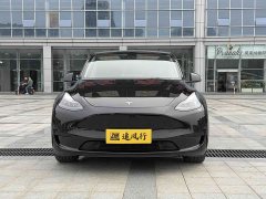 Tesla Model Y Rear-Wheel Drive - ფოტო 2