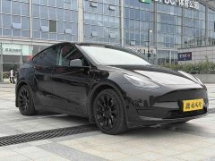 Tesla Model Y Rear-Wheel Drive - ფოტო 3