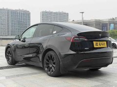 Tesla Model Y Rear-Wheel Drive - ფოტო 4