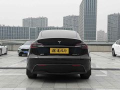 Tesla Model Y Rear-Wheel Drive - ფოტო 5