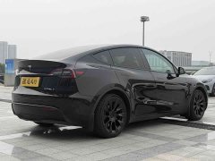 Tesla Model Y Rear-Wheel Drive - ფოტო 6