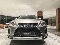 Lexus RX 300 AWD Elegance National VI - ფოტო 2