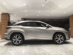 Lexus RX 300 AWD Elegance National VI - ფოტო 9