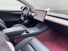 Tesla Model 3 Standard Range RWD Upgrade 3D6 - ფოტო 10