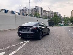 Tesla Model 3 Standard Range RWD Upgrade 3D6 - ფოტო 12