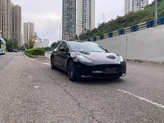 Tesla Model 3 Standard Range RWD Upgrade 3D6 - ფოტო 3
