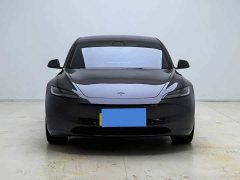 Tesla Model 3 Long Range Rear-Wheel Drive - ფოტო 2