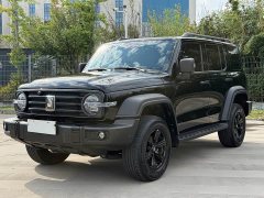 Tank 300 2.0T Gasoline Conqueror - ფოტო 1