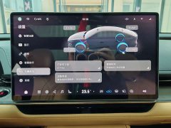 Toyota Platinum Wisdom 7 600 Pro - ფოტო 14