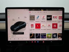 Tesla Model Y Rear-Wheel Drive - ფოტო 16