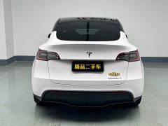 Tesla Model Y Rear-Wheel Drive - ფოტო 6