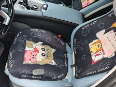 Chery Oumengda 1.5T CVT Yuijie Edition - ფოტო 6